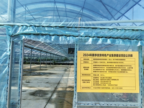 集群项目资金支持的国家果树种质资源重庆(巫山)李子种质资源圃项目即将投用。巫山县果品产业发展中心供图