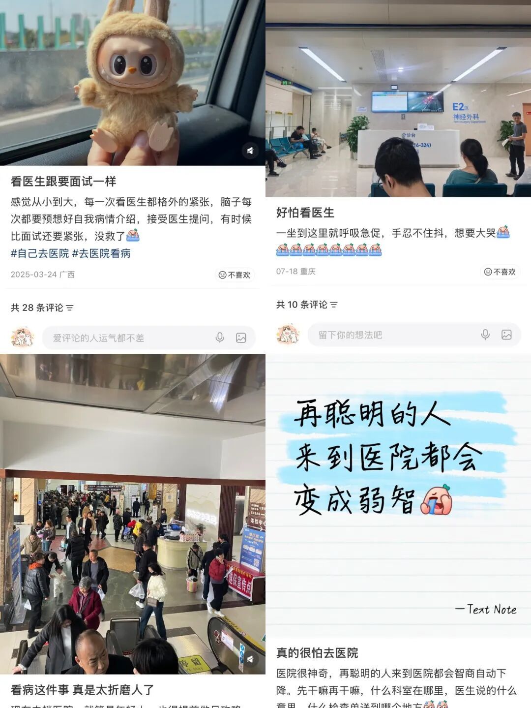 截自小红书
