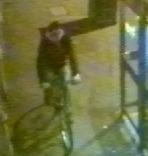 申钟玉遇害前,监控录像拍到的疑似雷斯蒂沃的男子 BBC