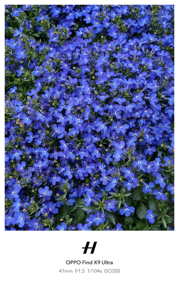 使用OPPO Find X9 Ultra拍摄