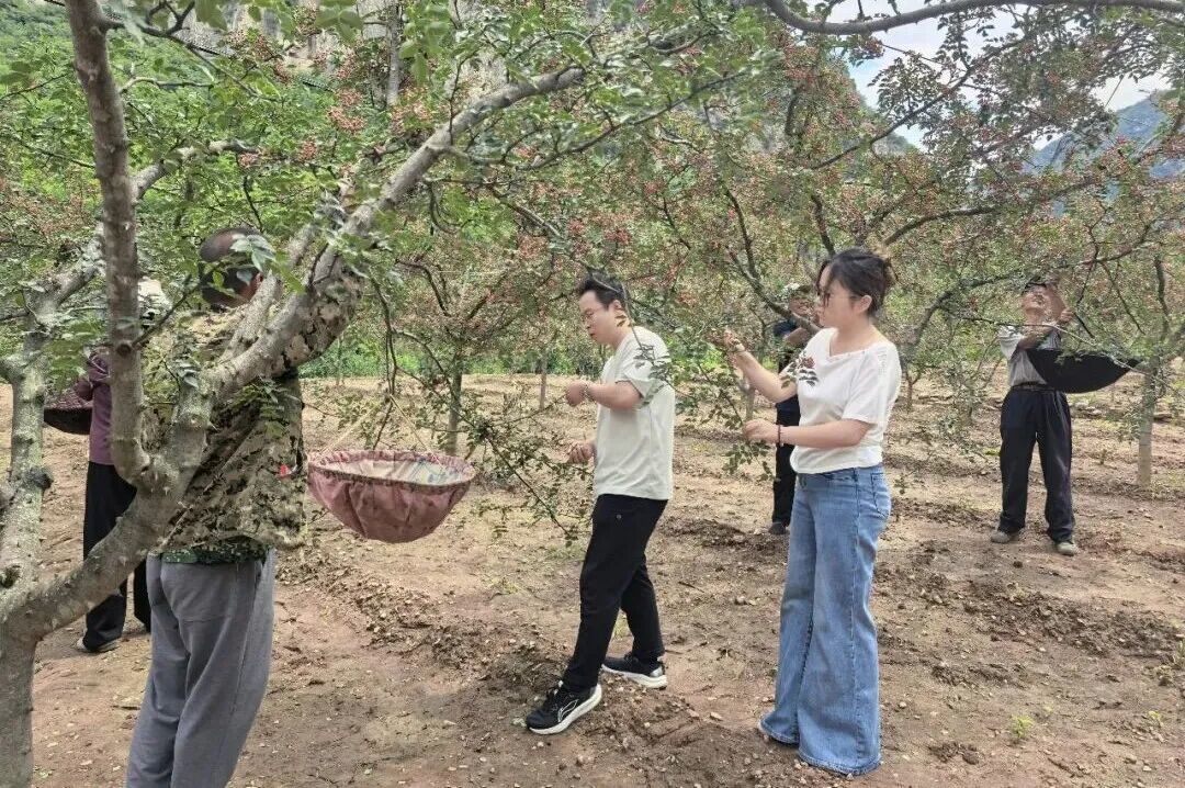 ▲源头村村党支部书记、村委会主任武亚静(右一)和村民探讨花椒收获情况