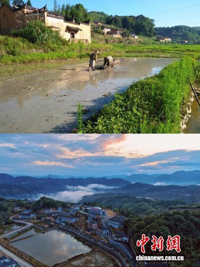 佳垅村前后对比图。叶金秋 摄