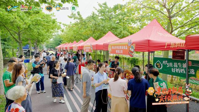 丰收节会场。