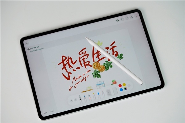 12.5寸最好的LCD护眼屏！Xiaomi Pad 9 Pro图赏
