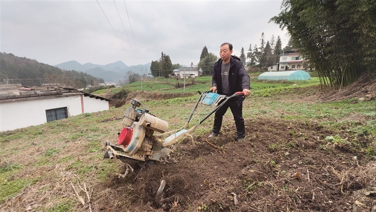 【新春走基层&middot;走进贵州】峰岩村：跟着农艺师去下乡