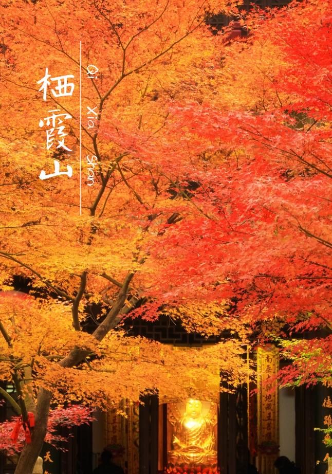 6284d0adcdf2d032529715a1d57528e8.png