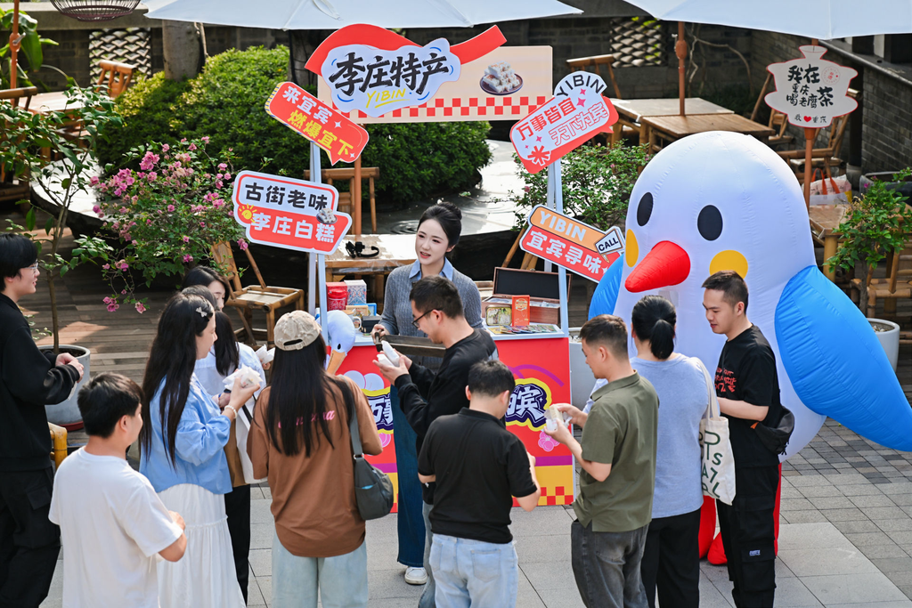 红嘴鸥客串小店帮手,叫卖李庄白糕。活动方供图