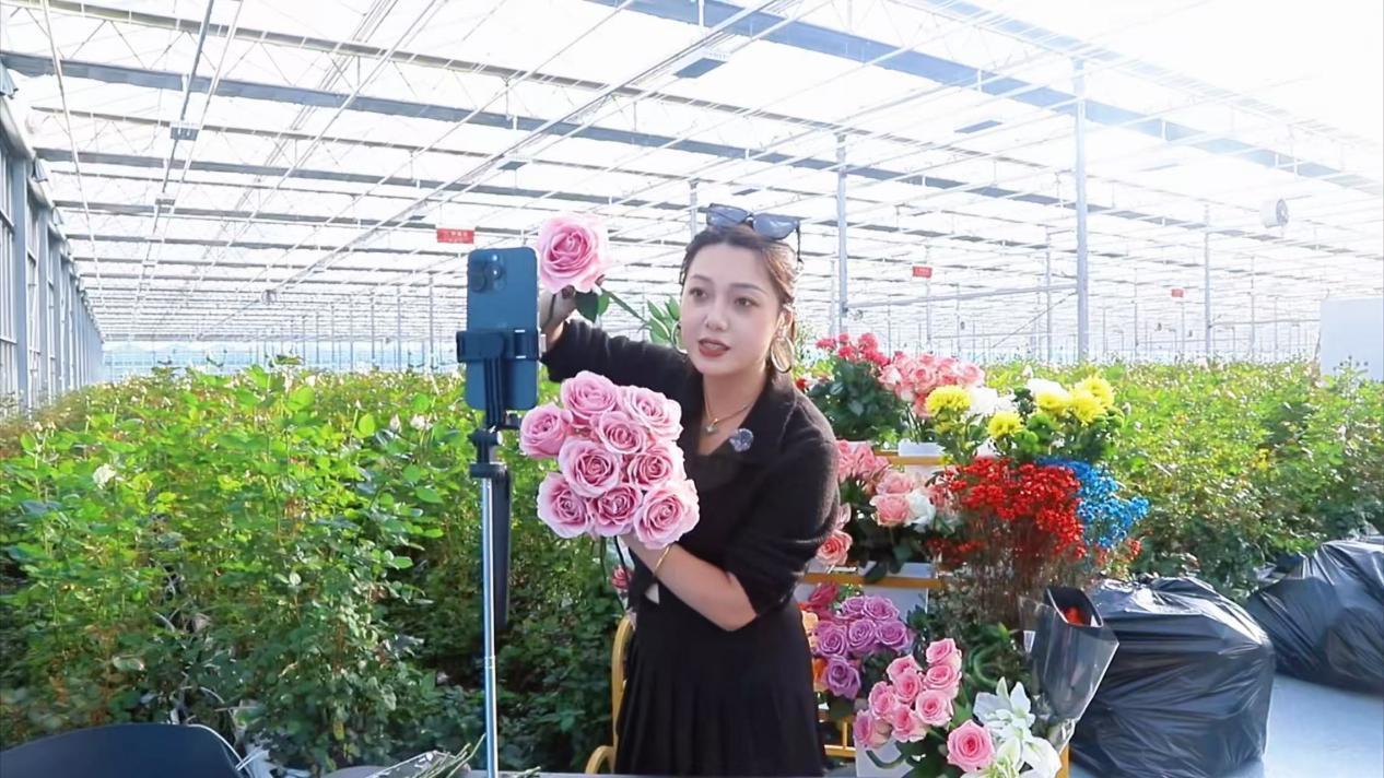 ���������� ���������ۻ�