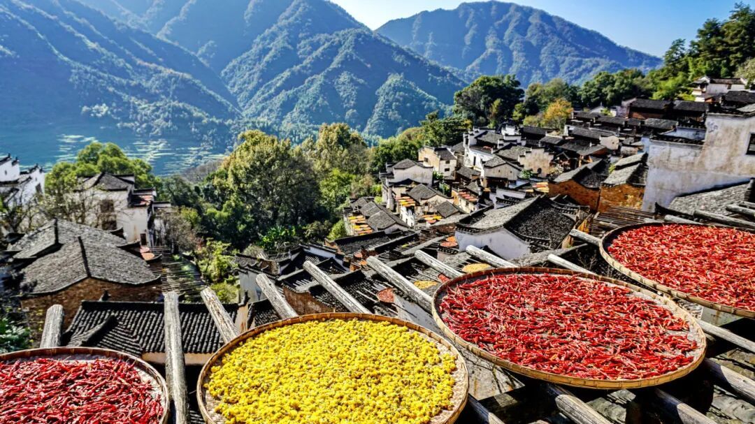 摄图网_501621502_江西婺源篁岭景区晒秋(企业商用).jpg