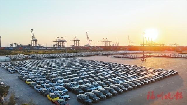 江阴港区后方汽车堆场停满车辆。