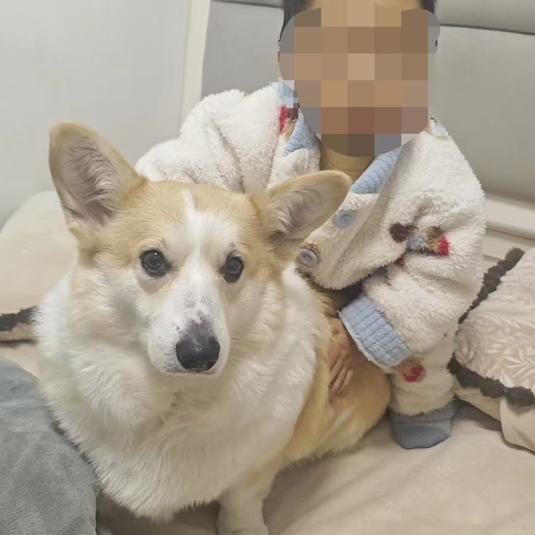 △坠亡幼童父亲崔先生的微信头像