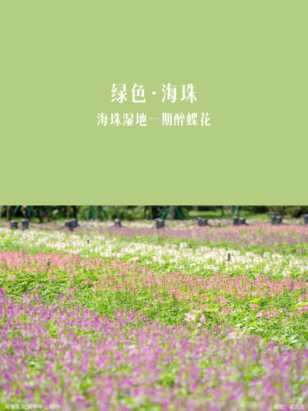 微信图片_20260921142739_4964_25.png