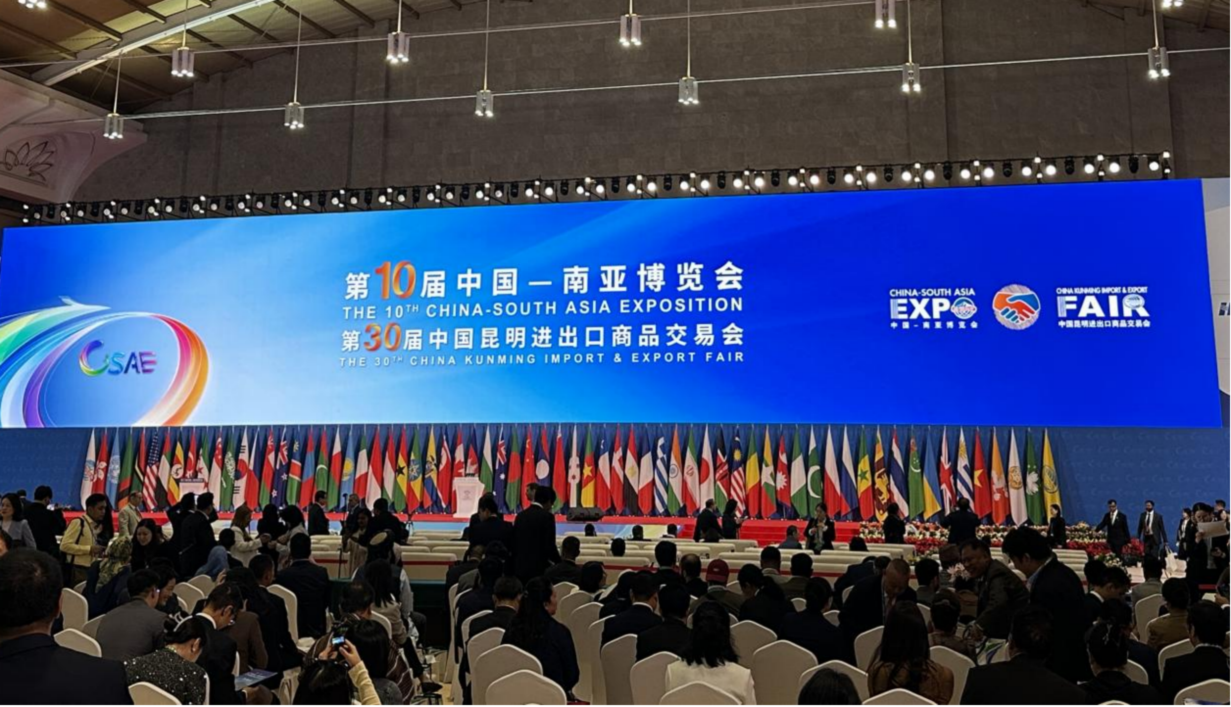 第10届南博会现场 摄影 张黎硕