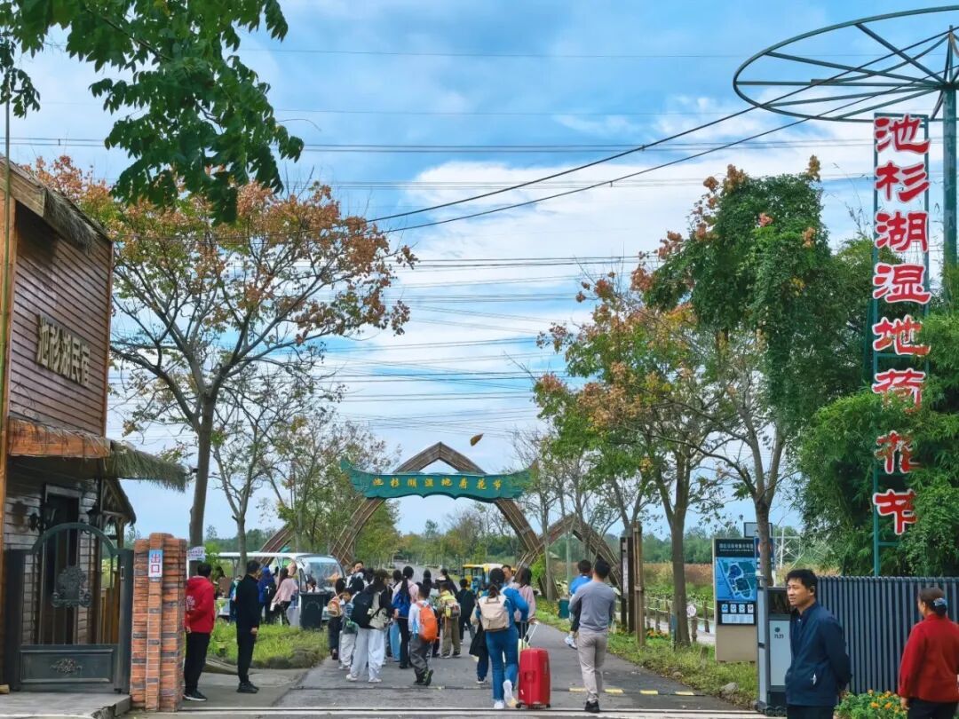 微信图片_20261006163842_263_2.jpg