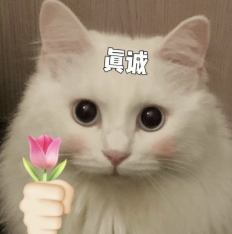 豆包收费版第一天,我:充值…又得充值?我要再充值