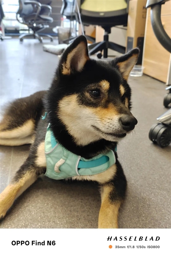 超越行业老大哥！OPPO的新折叠屏好像真的感受不到折痕了