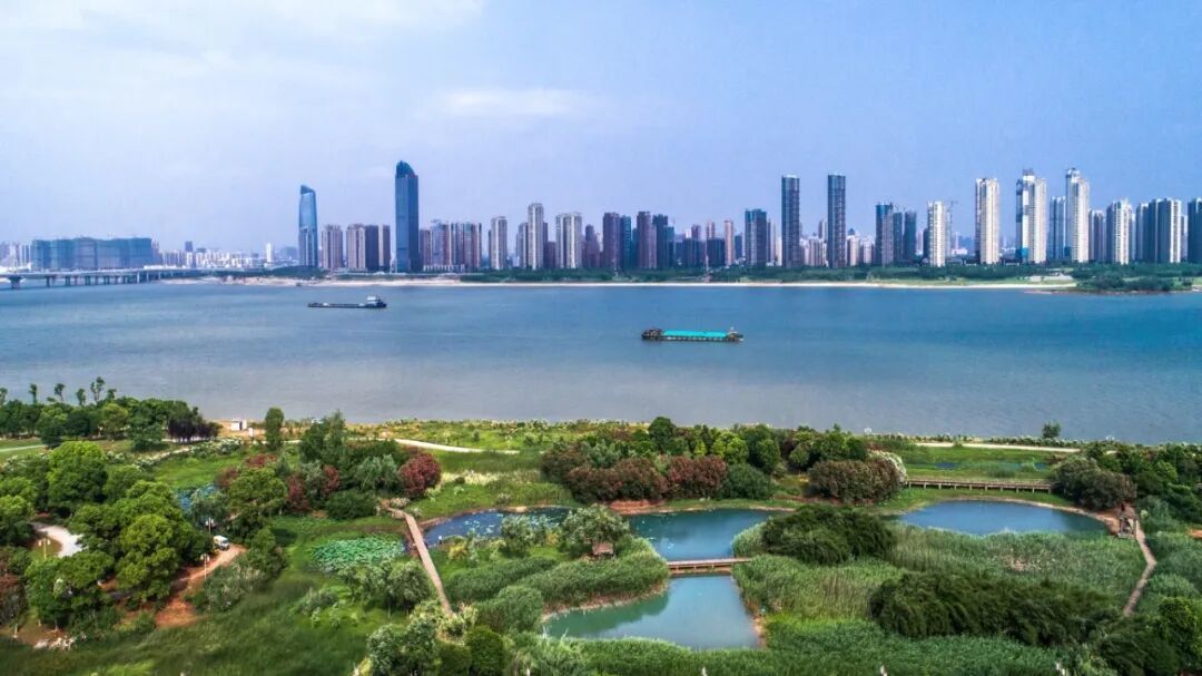 红角洲湿地公园01.jpg