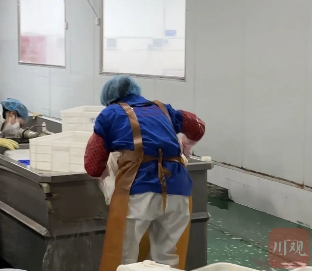 工作人员正在清理泡发池。