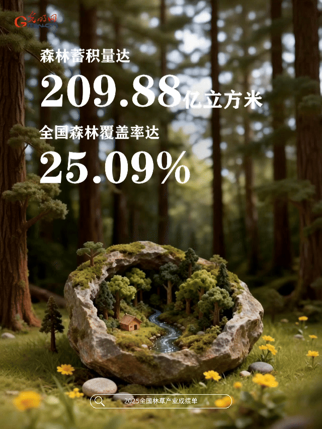 动态海报丨绿满山川,金满坡!数读2025林草成绩单
