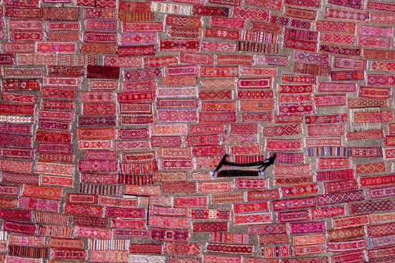 年度十佳图片《Carpet Fields》F. Dilek Yurdakul