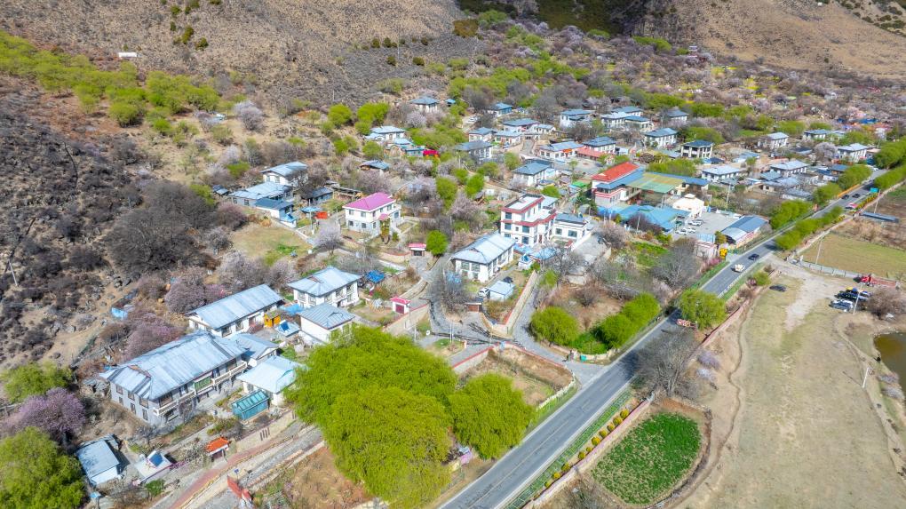 林芝市巴宜区嘎拉村风景。 新华社记者 丁增尼达 摄