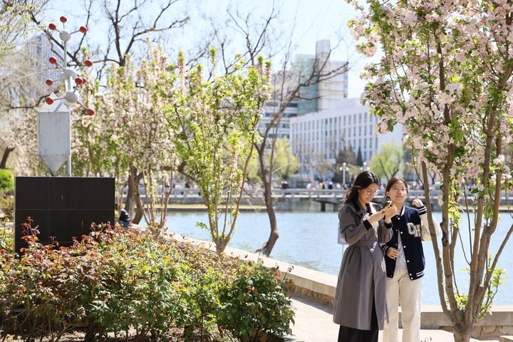 4月6日拍摄的天津大学卫津路校区一景。