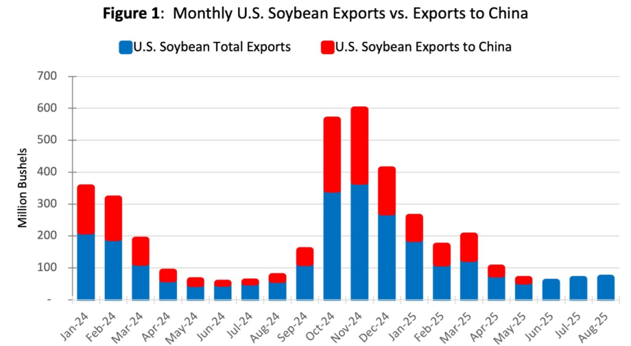 美国大豆月度出口与对华出口。截图自美国普渡大学论文,数据来自美农业部