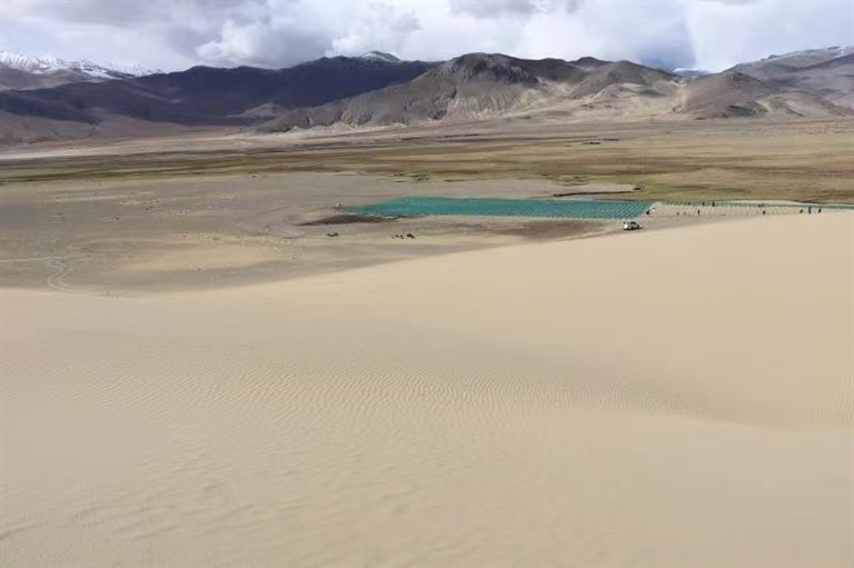 图为萨嘎县雄麦乡的沙化土地治理后逐渐变绿。