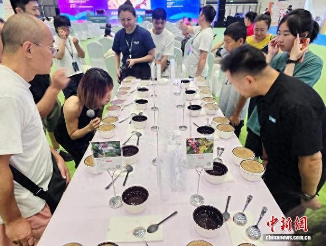 8月14日，2026海南国际咖啡博览会现场，参会人员在品味不同的咖啡。中新社记者 王晓斌 摄