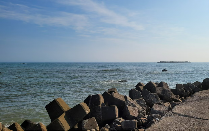 ▲日本长崎的海岸线。（图源：卫报）