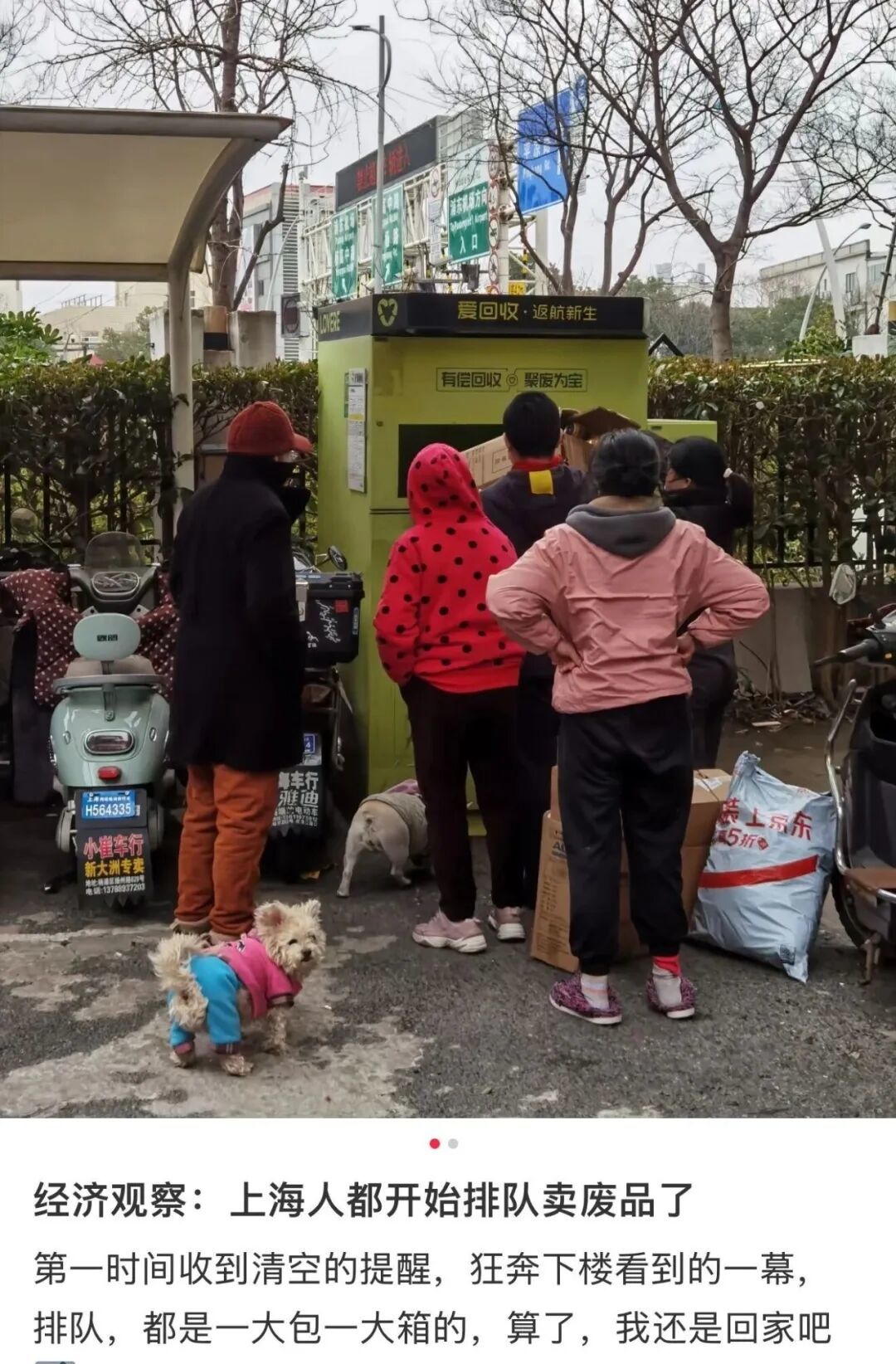 〓 图源:小红书用户@魔都大熊