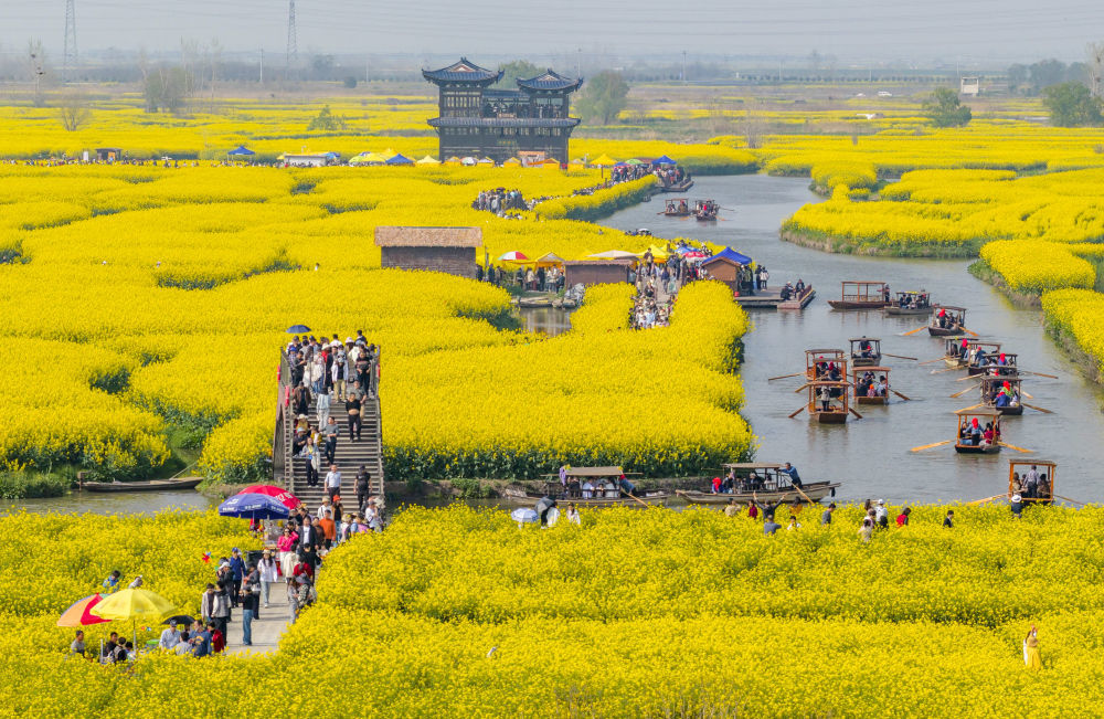 4月4日，游客在江苏省兴化市千垛景区赏花游玩（无人机照片）。新华社发（周社根摄）