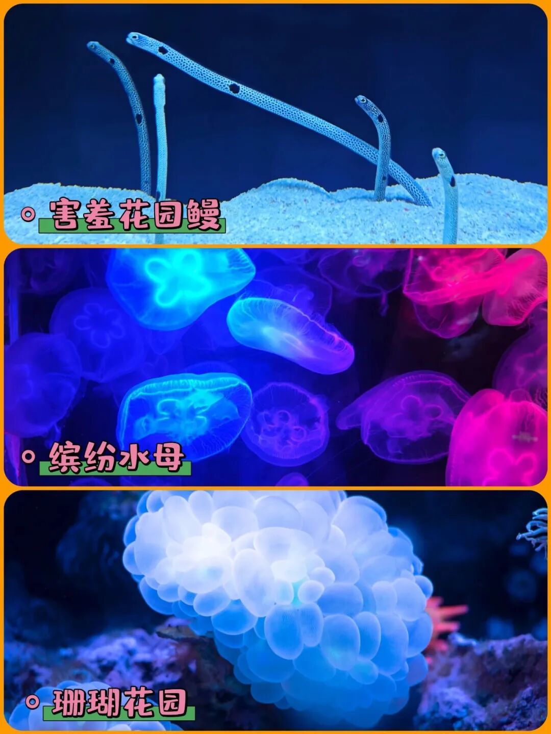 c732c4dd7064e33d8b016de7a8683f47.jpg