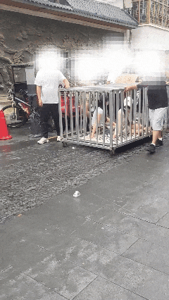 湖南警方通报“多人将两女子关铁笼游街”_https://www.izongheng.net_快讯_第2张