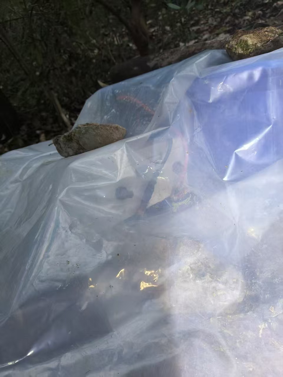 家属现场找到的电瓶装置(受访者提供)