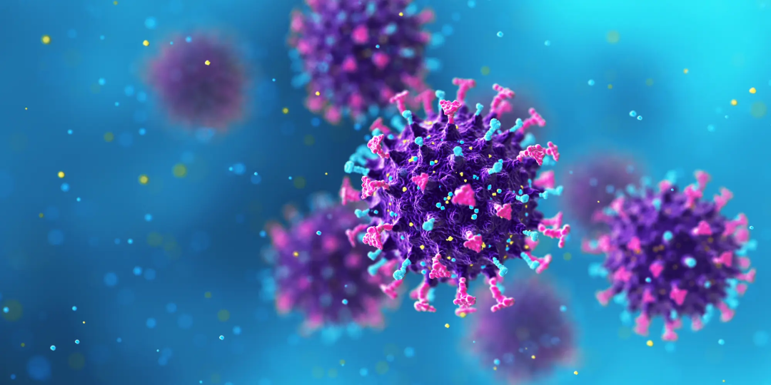 图源网络 版权属于原作者