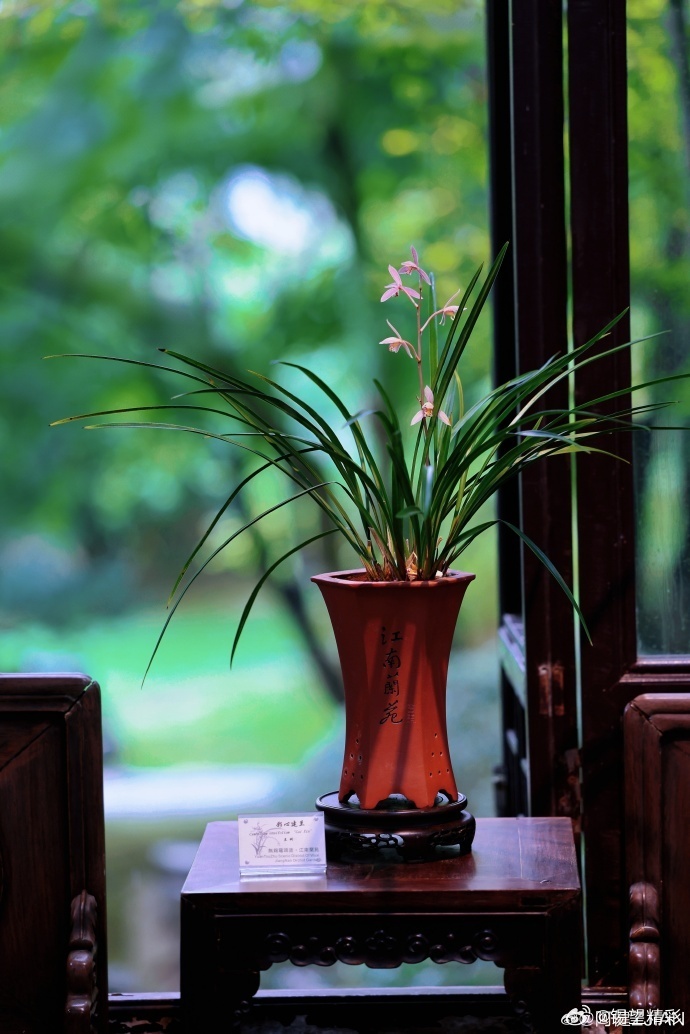 #你早,无锡# 细雨漫过鼋头渚江南兰苑，青瓦滴响，翠竹含烟~#行摄无