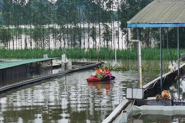 雨停后，坐皮划艇去救援猪场的扬翔员工/受访者供图