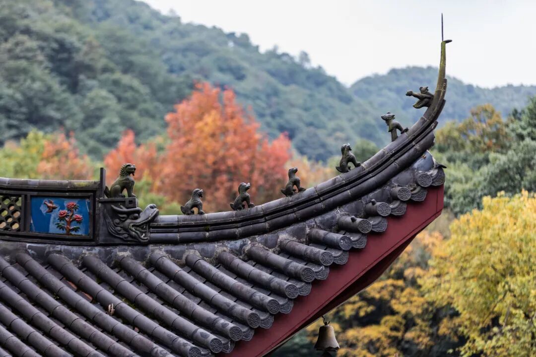 摄图网_701028204_杭州法净寺_(企业商用) (1).jpg
