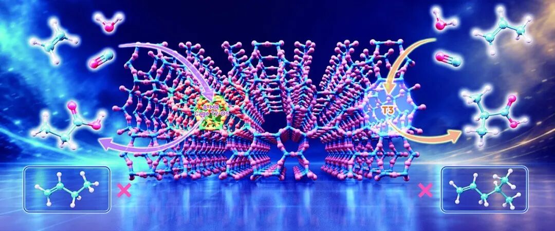 水参与的两个反应示意图。大连化物所供图