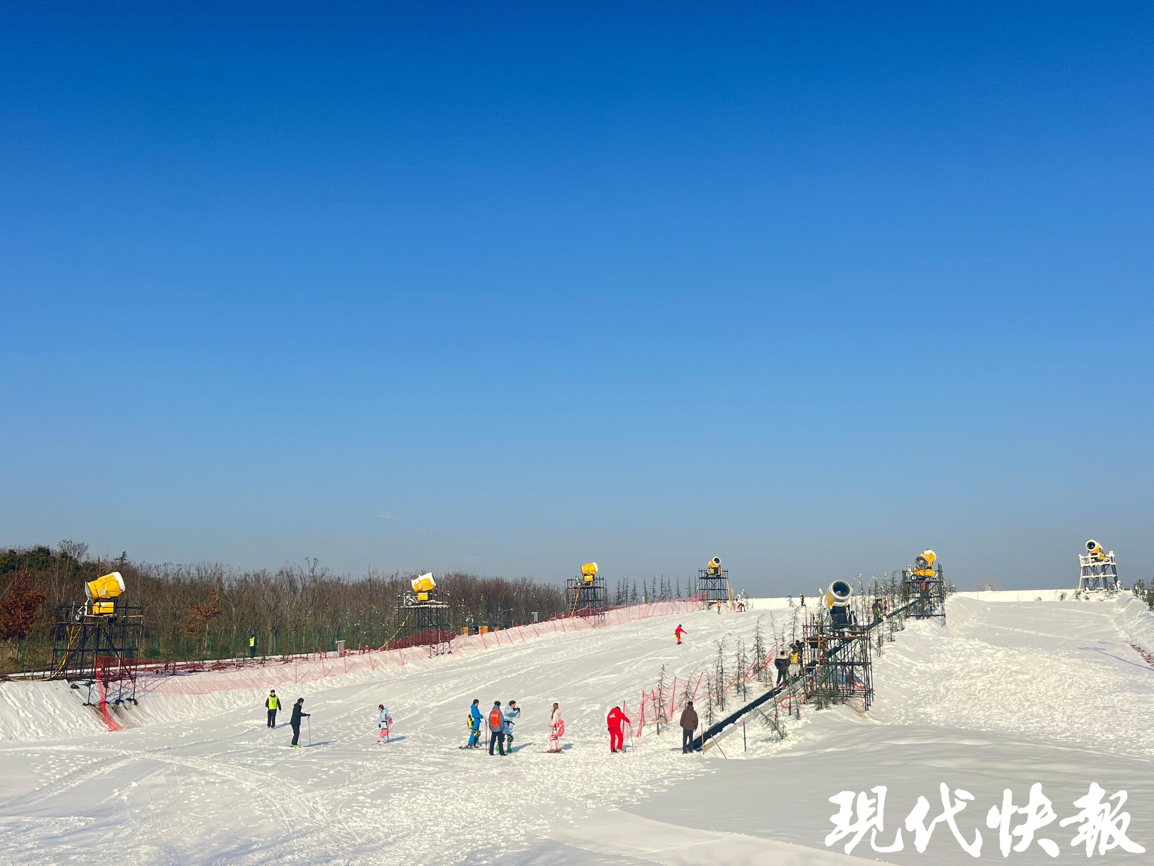 南京森林大世界