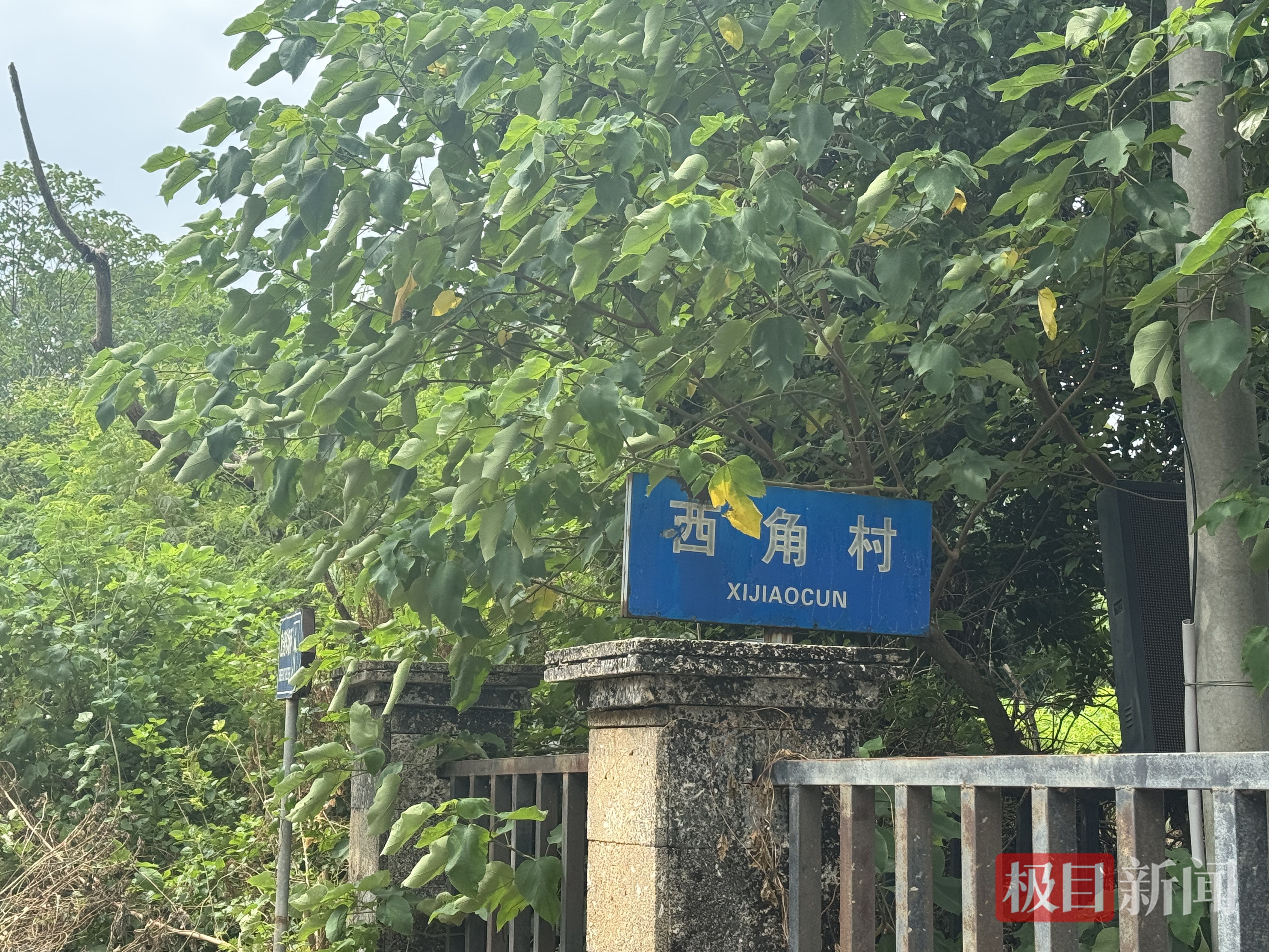 西角村(极目新闻记者拍摄)
