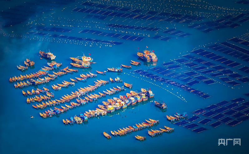 福建现代化“海上牧场”，渔船、渔排相映成趣（央广网发 程庆雄 摄）