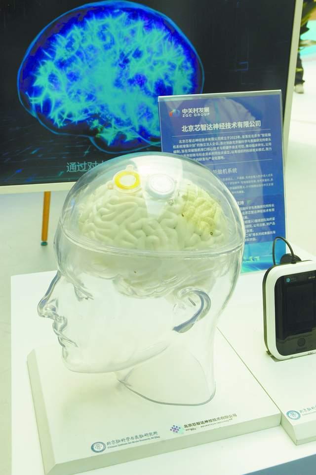 现场展示的“北脑一号”智能脑机系统模子 马 俊摄