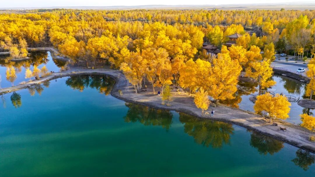 DJI_0903.JPG