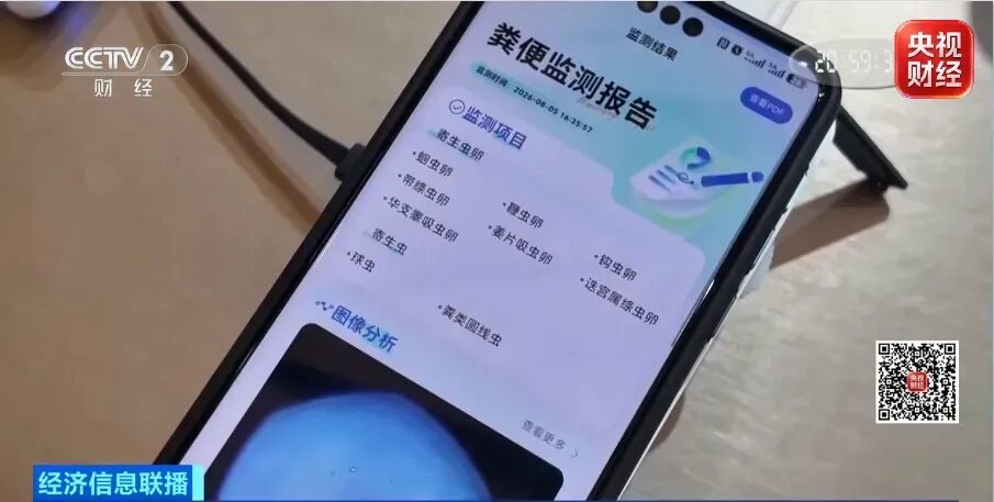卖爆了,国产“宠”物全球抢着下单