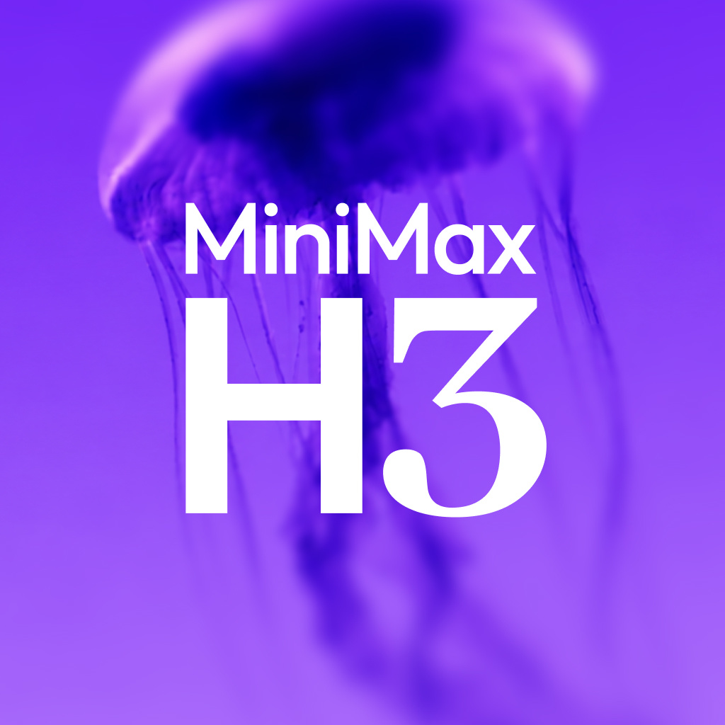 MiniMax H3官方发布图