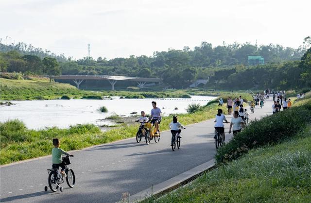 龙岗河干流碧道成为市民休闲娱乐好去处
