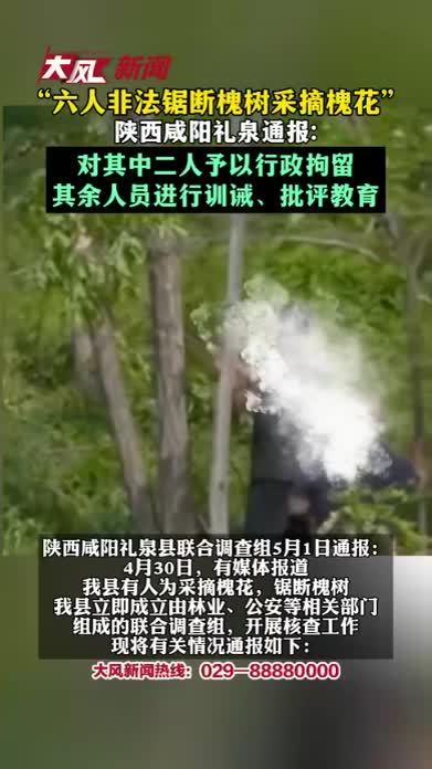 “六人非法锯断槐树采摘槐花”陕西咸阳礼泉通报：公安机关根据相关规定，对其中二人予以行政拘留，其余人员进行训诫、批评教育