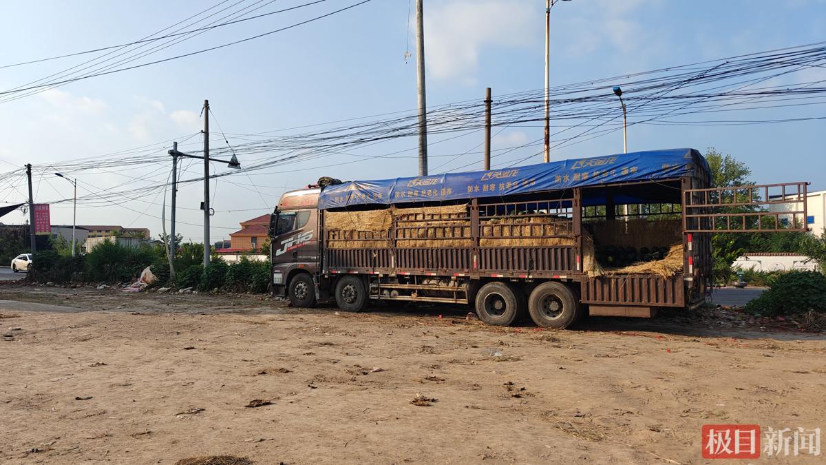 李贵兵准备收瓜用的货车(极目新闻记者 陈洋洋摄)